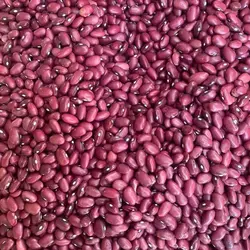 لوبیا قرمز انصاف