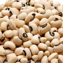 لوبیا چشم بلبلی انصاف