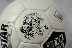 پیش‌نویس ۲۳