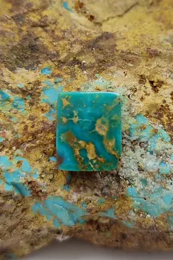 فیروزه بسیار زیبای نیشابوری، رنگ سبزآبی سیر، ذات عالی شجری، جلای عالی آینه ای و درخشان، تراش چهارگوش باب رکاب، اصیل و زنده با رنگ طبیعی