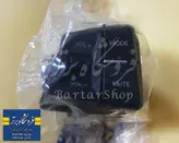 کلید چپ فرمان پارس (کلید مالتی مدیا)