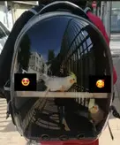 کیف حمل پرندگان مدل کوله پشتی فضایی اقتصادی بزرگ