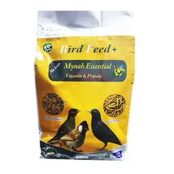 خوراک پرنده مرغ مینا