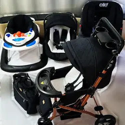 سرویس سیسمونی و کالسکه دلیجان