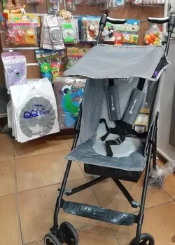 کالسکه تاینی دلیجان عصایی