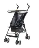 کالسکه تاینی دلیجان عصایی