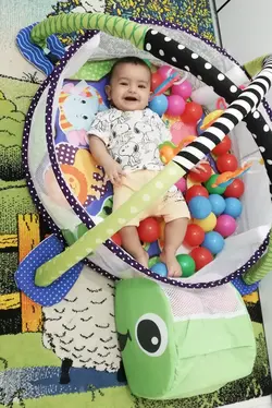 تشک بازی و استخر توپ لاکپشت بهمراه توپ