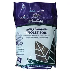 خاک بنفشه آفریقایی بهکام