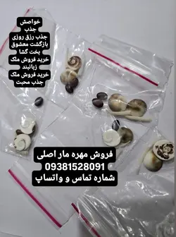 مهره مار