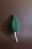 چاقو مخفی