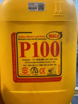 رزین نما و عایق رطوبتی 20 لیتری P100
