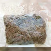 خزه اسفاگنوم درجه یک بسته بندی 100 گرمی