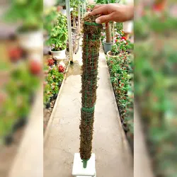 چوب خزه زیبا مناسب برای گیاهان رونده با ارتفاع 90 سانتی متر