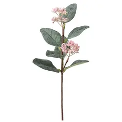 شاخه گل اکالیپتوس 🌸