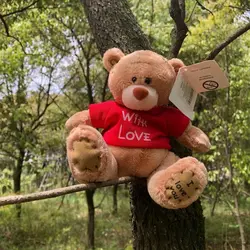 عروسک طرح خرس تدی مدل میتو یو کد JIMI110 ارتفاع 15 سانتی‌متر