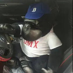 عروسک طرح گوریل مدل بدنساز کد JIMI110 ارتفاع 40 سانتی‌متر