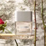 عطر مردانه دبونیر جنتل وود