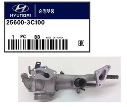 مجموعه هوزینگ و ترموستات هیوندا آزرا (جنیون)