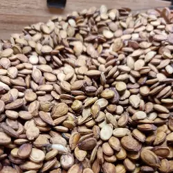 تخمه هندوانه 2 آتیشه