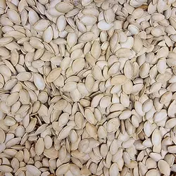 تخمه کدو ریز شور