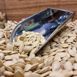 تخمه کدو گوشتی شور درجه 1