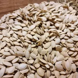 تخمه کدو گوشتی شور درجه 1