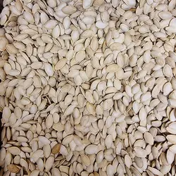 تخمه کدو گوشتی شور درجه 1