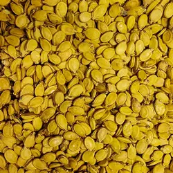 تخمه هندوانه زعفرانی