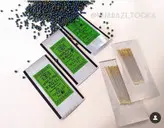 سوزن منجوق ته طلایی