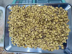 تخمه هندوانه شور وتفت داده درجه یک بسته 500گرمی