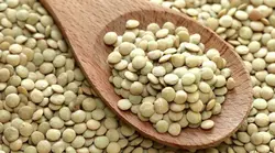 عدس درشت نیم کیلو