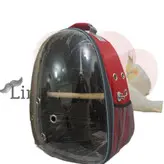 کوله حمل پرنده