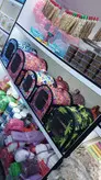 کیف حمل پرنده