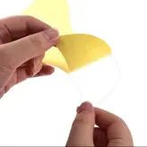 گلپیدور گیتار مدل T11