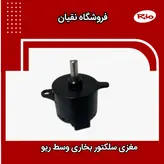 مغزی سلکتور بخاری ریو