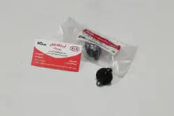 ولوم بخاری ریو اصلی کیا (وسطی)