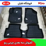 کف پایی ریو