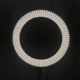 رینگ لایت LED RING LIGHT MAXLIGHT RL-288A به همراه سه پایه