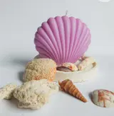 شمع صدف پینترستی