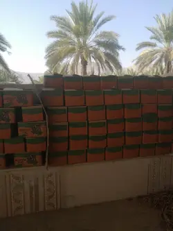 خرما شاهانی کارتن دو کیلویی