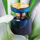 عطر زنانه آمبر الکسیر کریستال