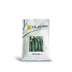 بذر خیار آفیسر | Clause Officer F1