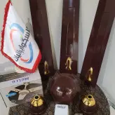 پنکه سقفی هندی اصل روزگلد مناسب ویلا