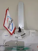 پنکه سقفی ایگوسونیک