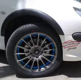 زه گلگیر پژو ۲۰۶