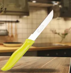 چاقو اره ای دالبری