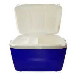 یخدان مسافرتی کیش ترموس 60