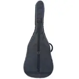 سافت کیس گیتار