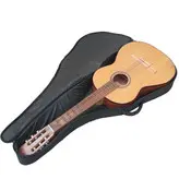 سافت کیس گیتار