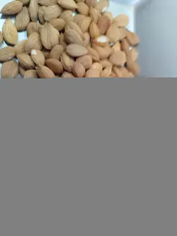 مغز هسته زردالو